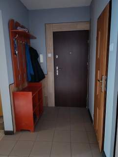 Najem okazjonalny mieszkanie 3 pokoje