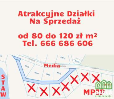Ostatnia działka nad stawem w Debrznie MPZP Media