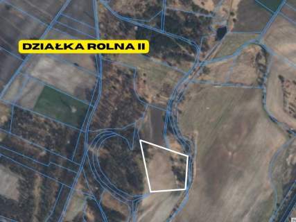 Działki rolne 2.63 ha Chełm Śląski NJ INVESTMENT