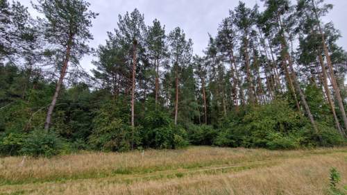 Gotowy kompleks działek UT   Pomorska k. Milicza