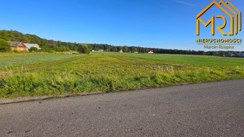 Działka 0,22 ha z WZ Dulcza Wielka, gm. Radomyśl