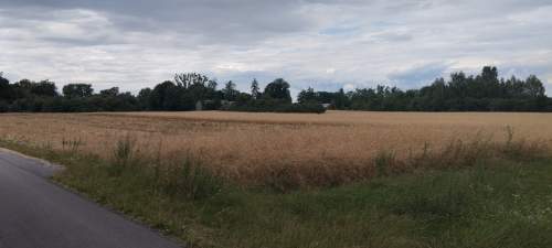 Sprzedam dom, gospodarstwo rolne 5ha