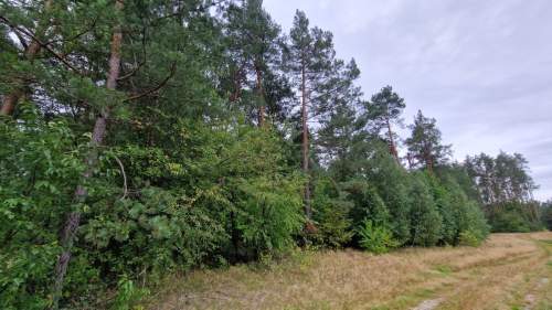 Gotowy kompleks działek UT   Pomorska k. Milicza