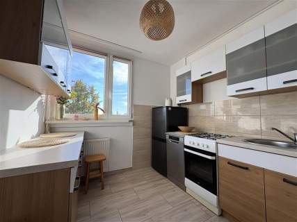 Hallera/2pok/piwnica/parking/od zaraz