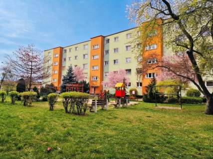 3 pokoje - dużo zieleni - balkon - przestronne