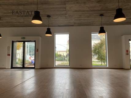 Lokal w wolnostojącym budynku, Witryny, Parking