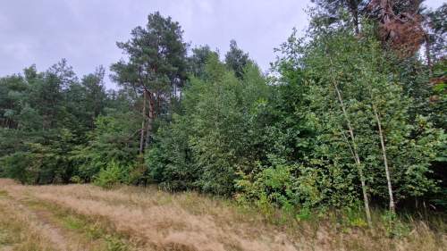 Gotowy kompleks działek UT   Pomorska k. Milicza