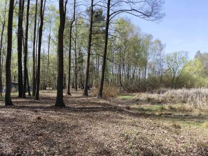 Działka budowlana na sprzedaż, 10904 m2, Anielin Swędowski