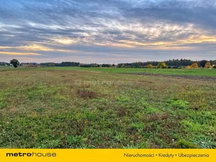 Budy Trzcińskie - 1200m2 twojego miejsca na ziemi