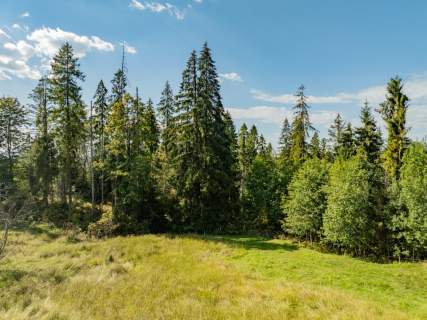Sierockie - działka 5901m2 - WZtka 4 domy