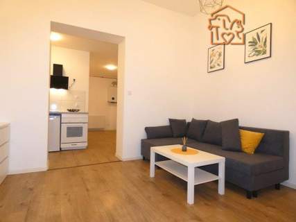 2 pokoje 43 m2, pet-friendly - Wolności 302