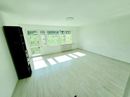 Mieszkanie 60m2 Leźnica k.Zgierz, Łęczyca, Ozorków