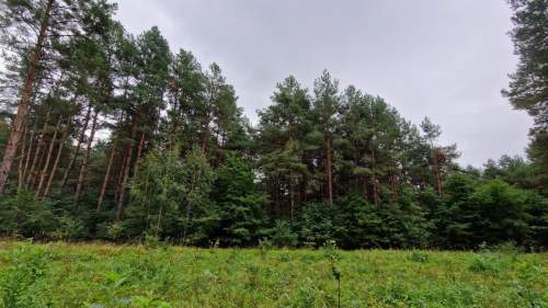 Gotowy kompleks działek UT   Pomorska k. Milicza