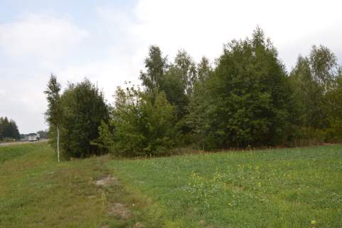 Działka 1.77 ha w Brzeźnicy Leśnej pow. Lubartów.