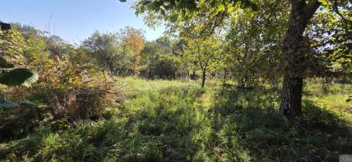 Działka 853 m2 Mikołów - Kamionka / Barbara