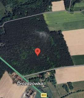 Leśna działka pod dom całoroczny. MPZP, woda i prąd przy działce