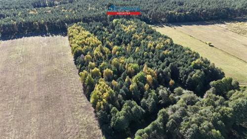Działka rolna w Trzciance