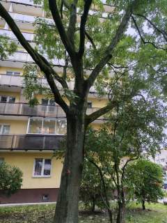 KAWALERKA NA WOLI DUŻY BALKON BLISKO METRA 23,23 m 399 000 Z