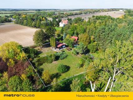 Działka 2032 m z domem z bali Widok na Narew