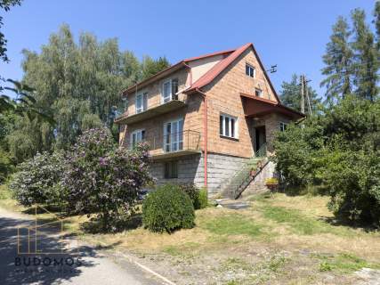 Dom z widokiem na 88 arach, Janowice, Pleśna