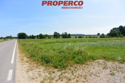 Działka 3225 m2, Sarbice Pierwsze, Łopuszno
