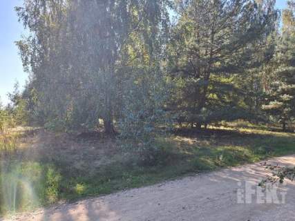 Działka inwestycyjna na sprzedaż, 3900 m2, Marków-Świnice