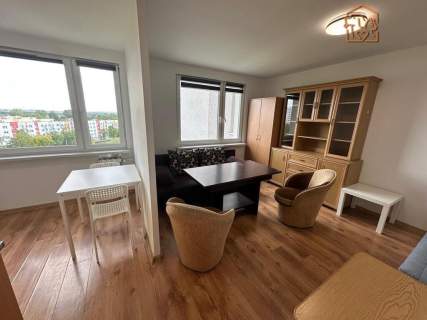 Kawalerka, pet-friendly - Al. Niepodległości 24