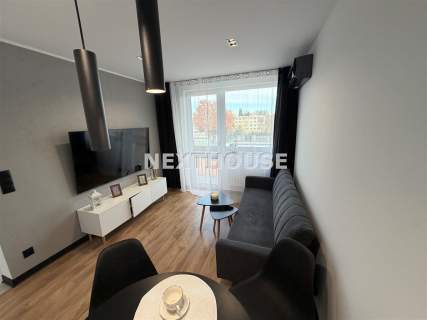 Mieszkanie do wynajęcia, 39 m2, Gliwice