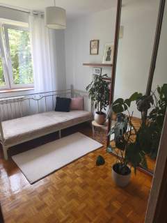 1/2 bliźniaka Izabelin B