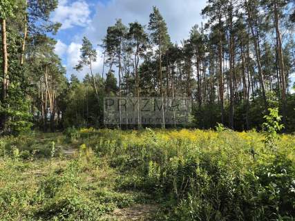Działka budowlana 3000 m Targówka ul. Lipowa