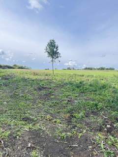 Działka budowlana na sprzedaż, 1000 m2, Pokrzywnica