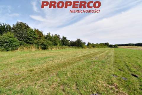 Działka pod Kielcami z MPZP, 9051 m2, Radlin,Górno