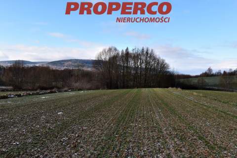 Działka, pow. 6000m2, Stara Słupia, gm.Nowa Słupia