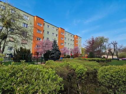 3 pokoje - dużo zieleni - balkon - przestronne