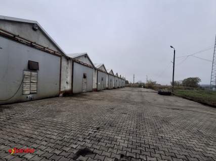 Obiekt produkcyjny/ Pieczakkarnia / Kurniki / Strusy k, Siedlec