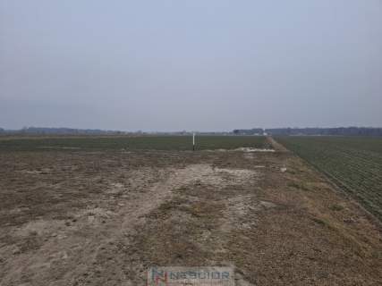 Działka budowlana 1000 m w Boroszkowie