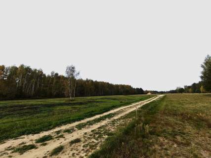 Działa budowlana 1125m2, Wilków Polski