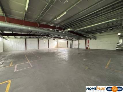 1,6 ha na produkcję, składy, magazyny hala 1100 m2