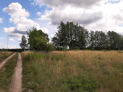 Działka w Pieckach 1200 m2 z WZ na 2 domy