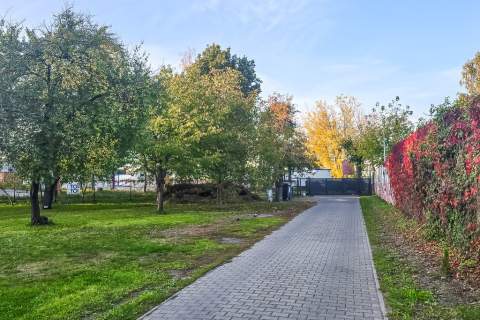 2 pokoje, wspólny ogród, czynsz ok. 200 zł