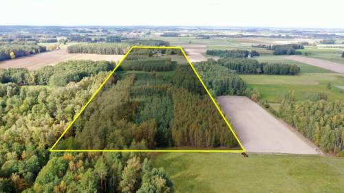 Siedlisko otoczone lasem Kubra-Przebudówka niedaleko Biebrzańskiego...