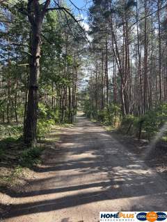 Działka budowlana w lesie, Łosie koło Radzymina