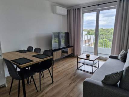 Mieszkanie do wynajęcia, 45 m2, Chorzów
