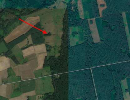 Działka 1,35 ha, Luboradów wśród lasów, Milicz