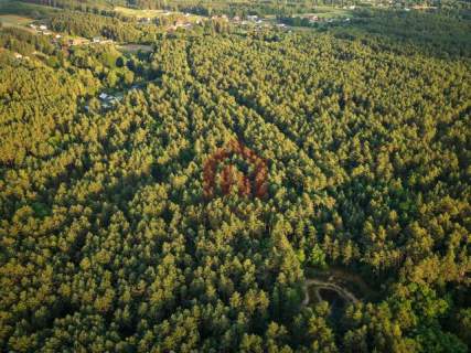 DOM W LESIE NA DZIAŁCE 1,45 HA - Rezerwacja