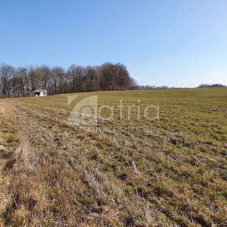 Działka- 3644 m2 nad jeziorem z warunkami zabudowy