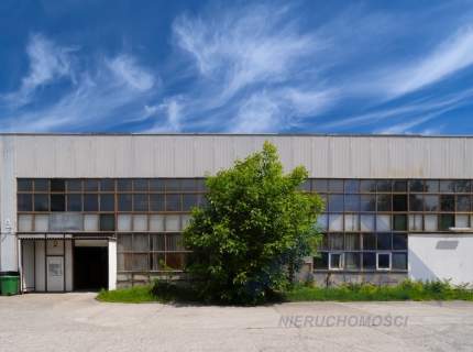 Magazyn do wynajęcia Bielany