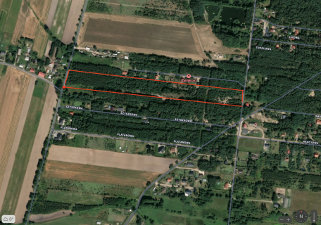 Działki budowlane 7 min. od Aleksandrowa łódzkiego, natura