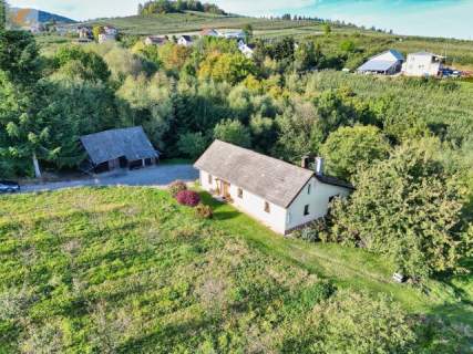 Duża działka z domem Czarny Potok 8700 m2, sad i potok