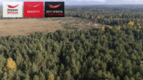 Borsk Działka 1380 m z projektami 2 domków letniskowych
